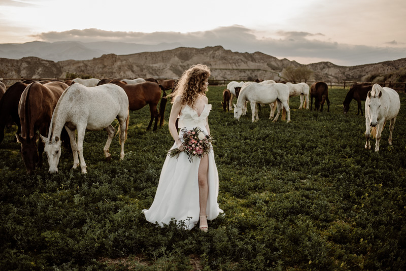 Victoria Salas Novia Michael Pieter