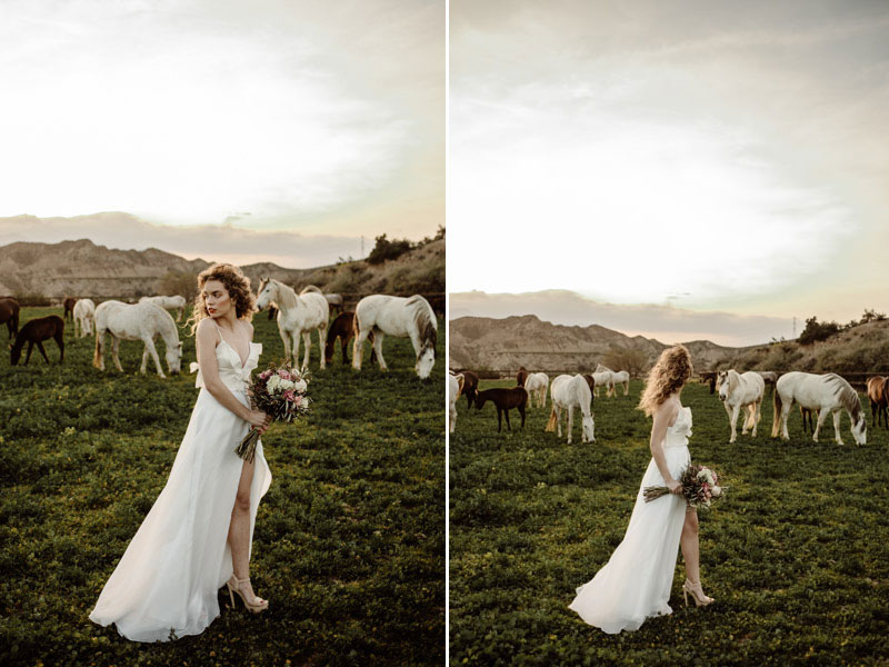 Victoria Salas Novia Michael Pieter